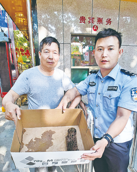 新绛县林业局 救助一只国家二级保护动物