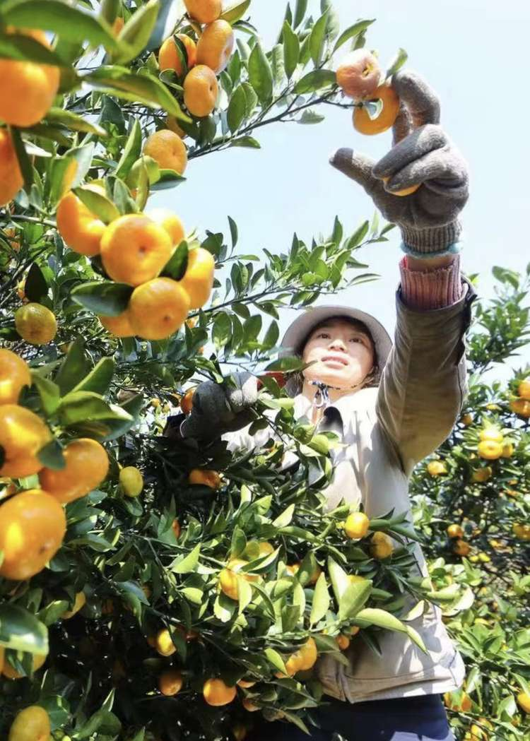如图片无法显示，请刷新页面