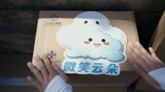 专注于女性公益的国货品牌：11月大树云捐赠活动再度启航