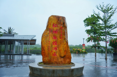 深耕生态公益 守护碧海绿意｜雪肌精联合王府井免税
